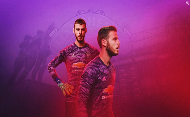 皇家塔马利联VSTF指数